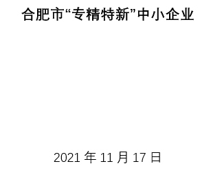 合肥市“專精特新”中小企業(yè)